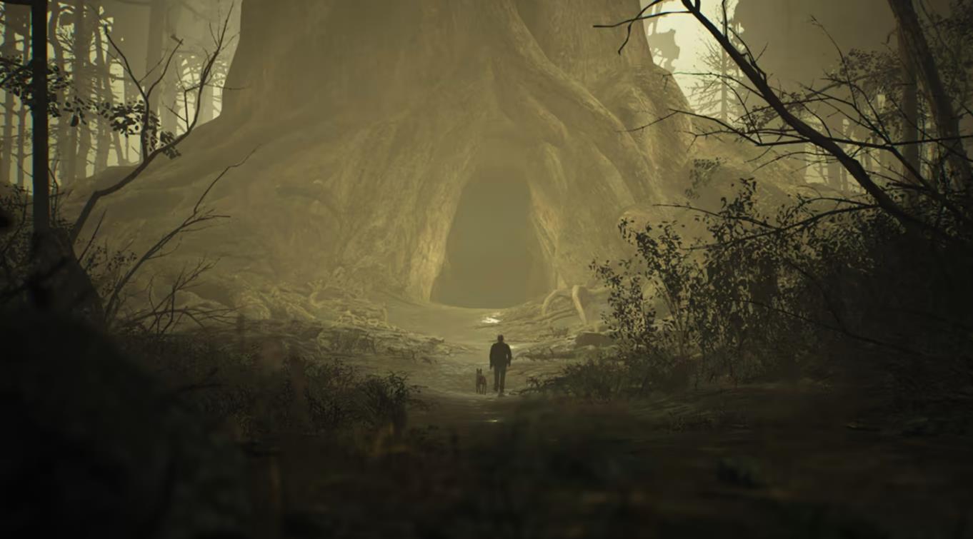 布莱尔女巫 Blair Witch_1