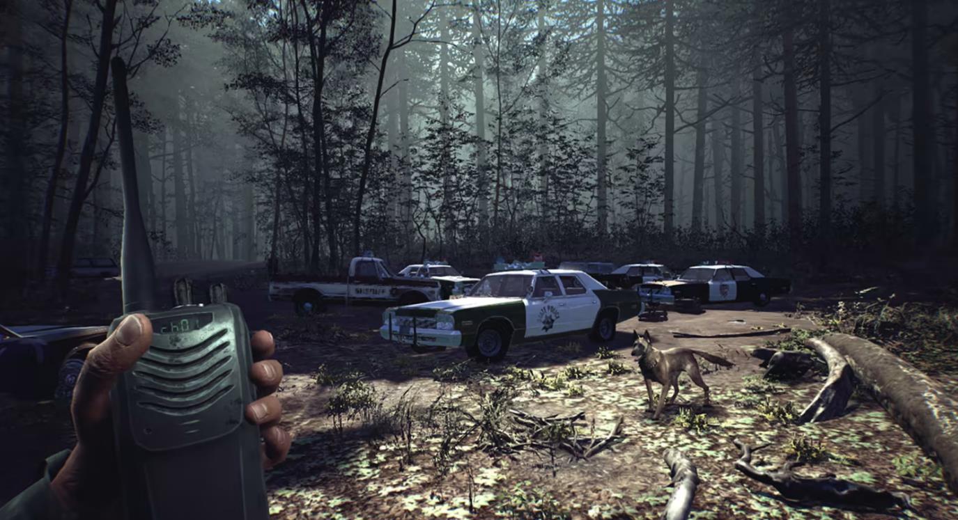 布莱尔女巫 Blair Witch_2