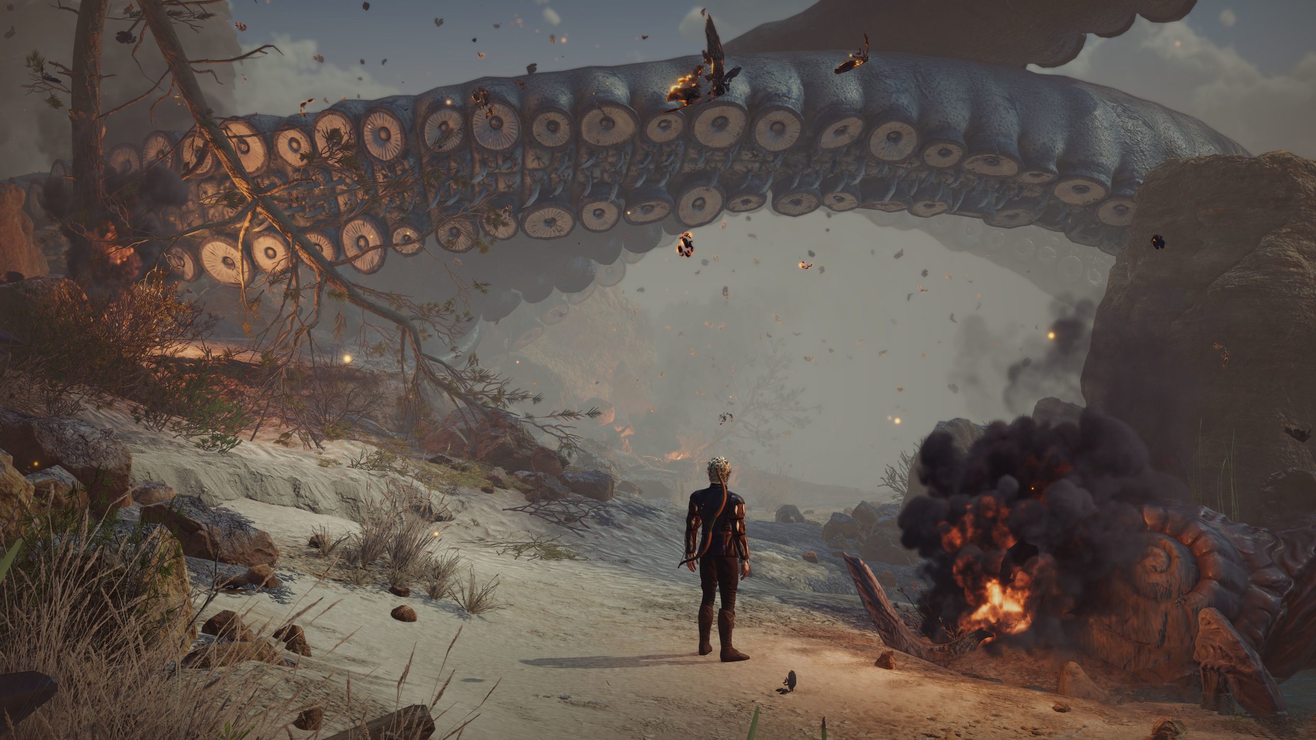 博德之门3 豪华版 Baldur Gate 3_2