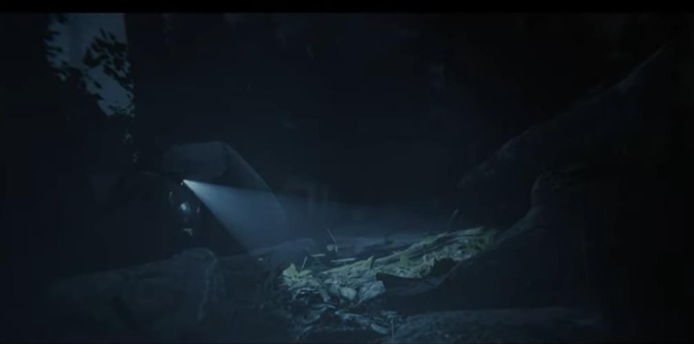 森林之子 Sons Of The Forest_0