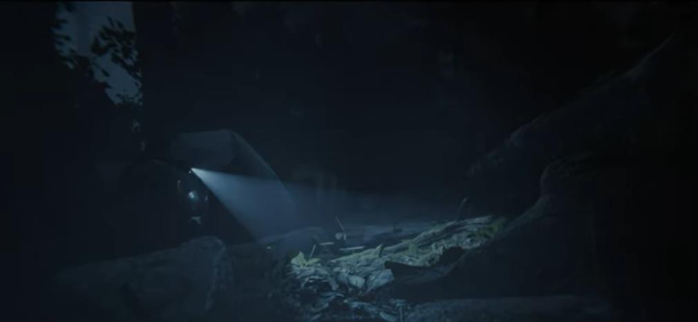 森林之子 Sons Of The Forest_0