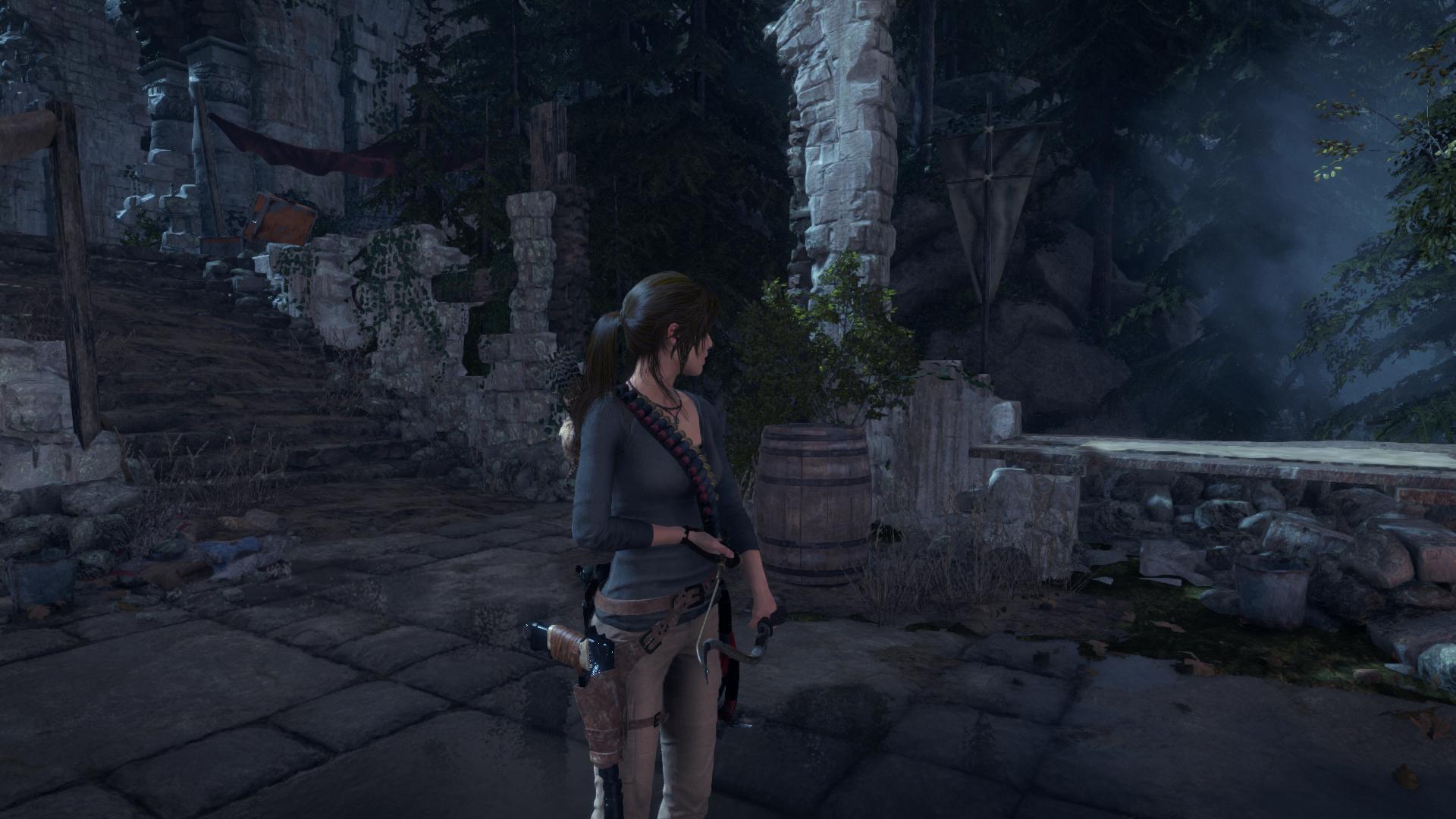 古墓丽影：崛起.20 周年纪念版.Rise of the Tomb Raider: 20 Year Celebration_1