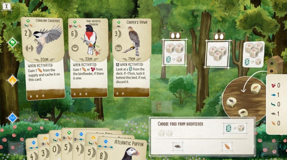 展翅翱翔 Wingspan_2