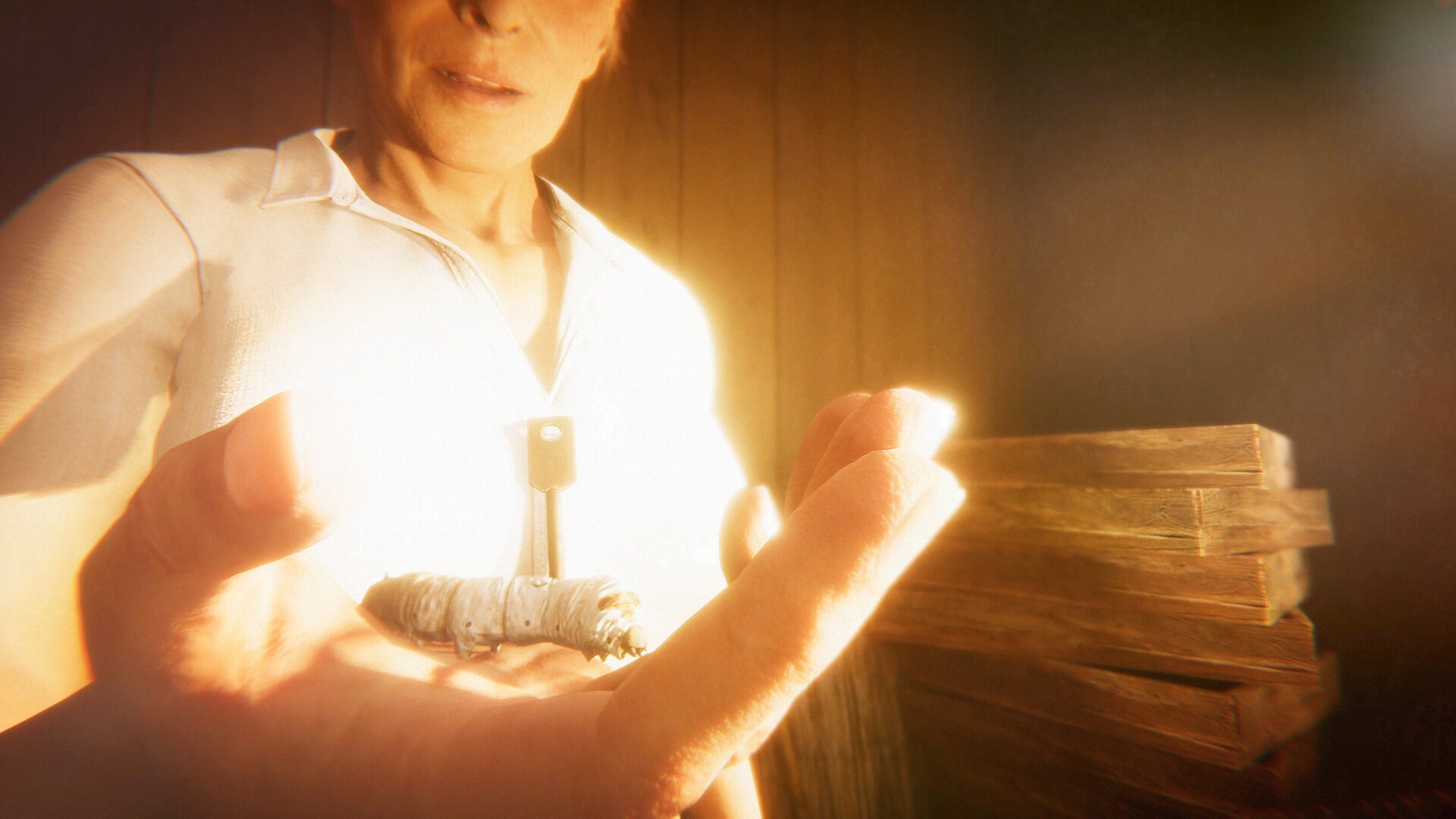 茧中蚕 Hollow Cocoon_1