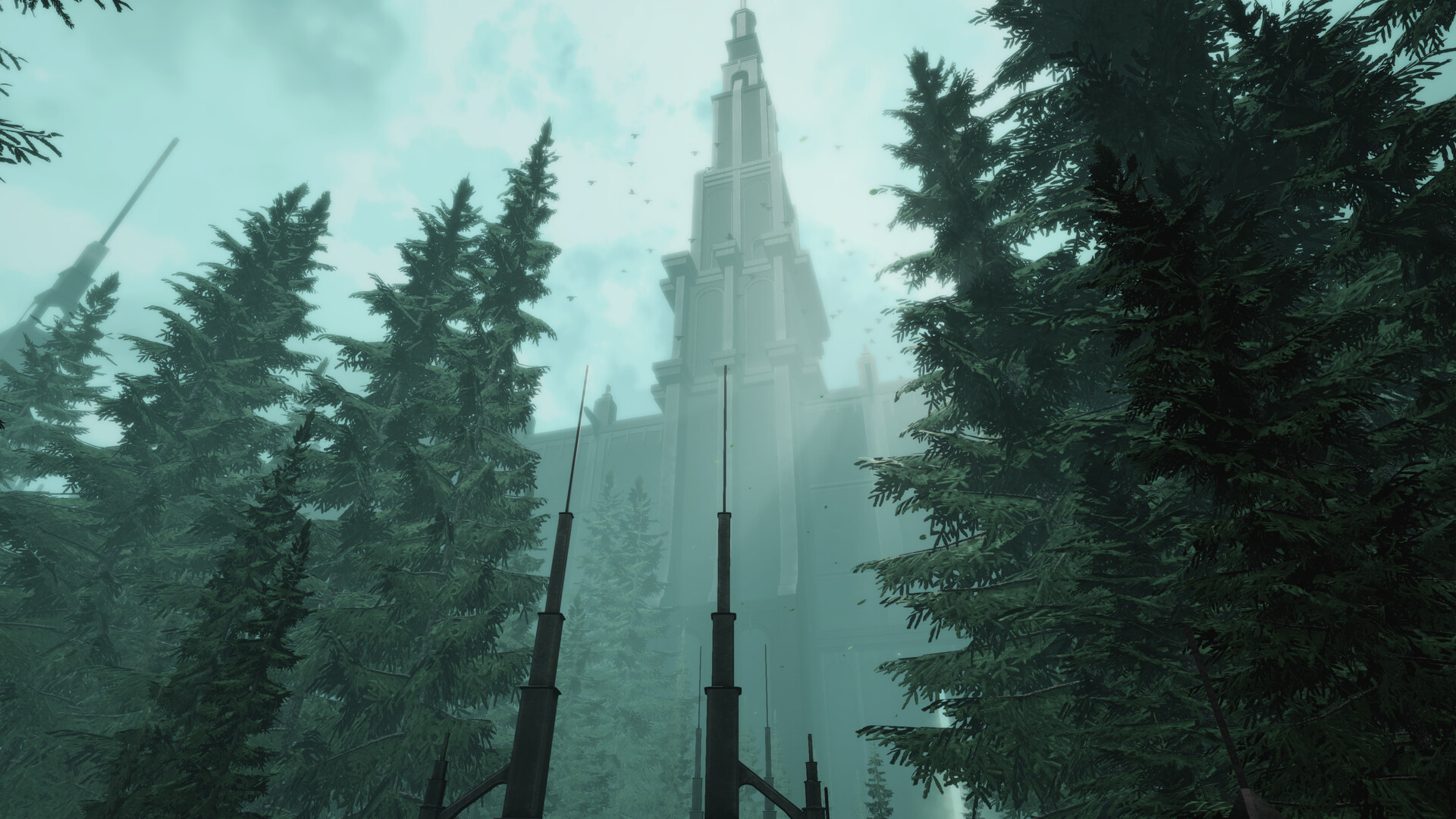 沉默的天鹅/The Silent Swan_1