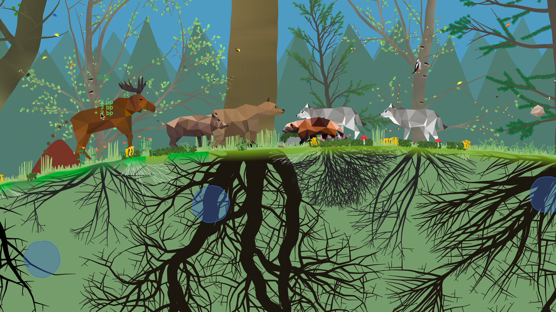 小松林/PolyPine_1